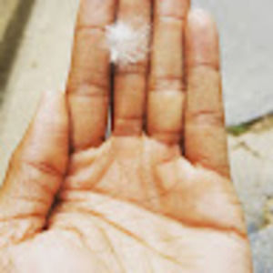 Meet your Posher, Atlanta